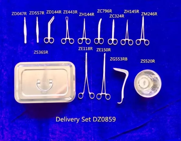 Delivery-set-DZ0859