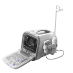 PT6601